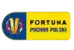 Puchar Polski logo