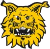 Ilves Tampere